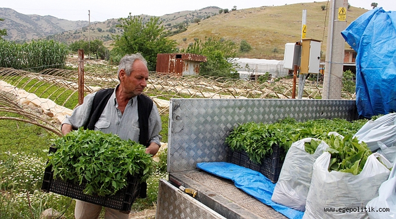 Ödemiş’ten Karaburun’a bereket köprüsü