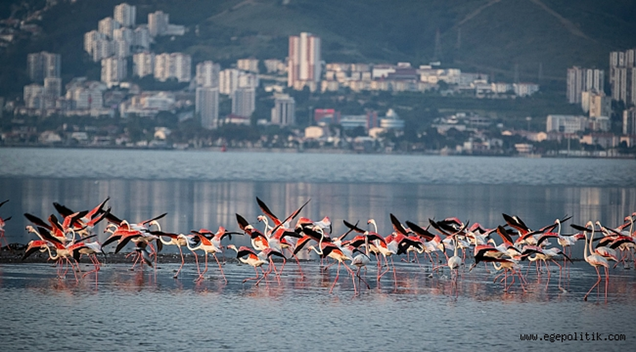 İzmir doğal yaşamla bütünleşecek