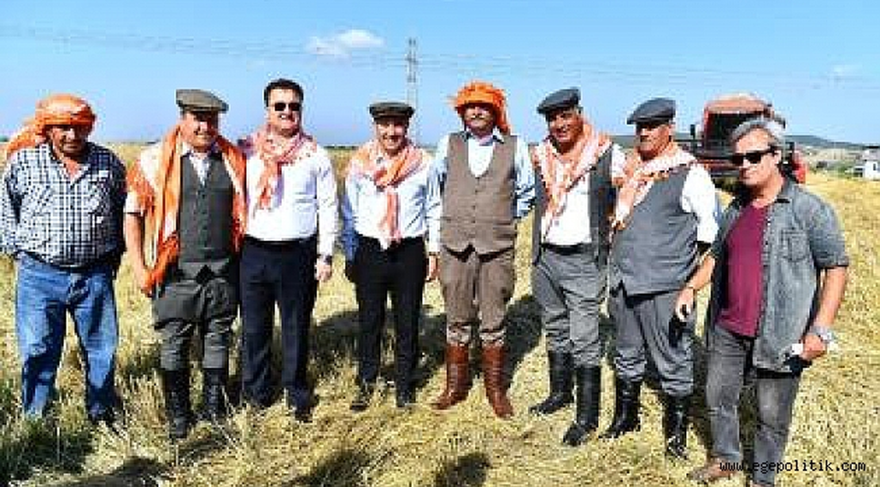 Başkan Soyer elleriyle serptiği karakılçık buğdayının hasadını yaptı
