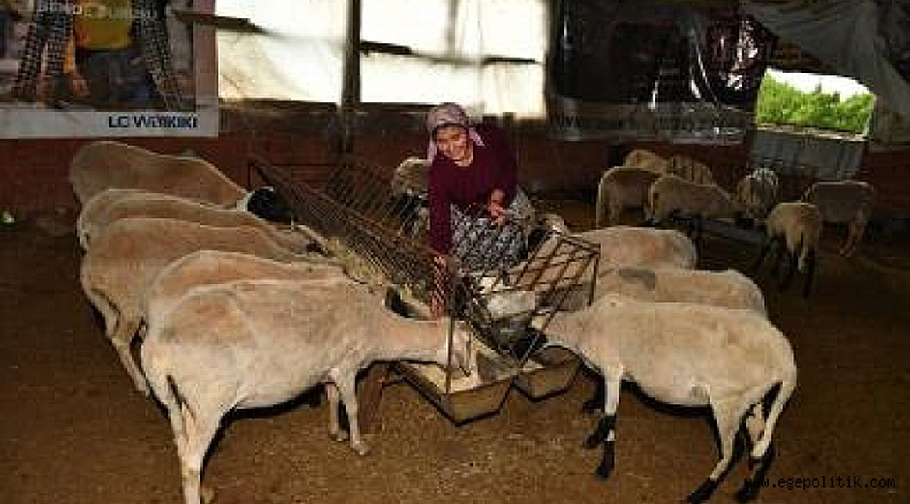 İzmir kırsalında “başka bir tarım” modeli gelişiyor