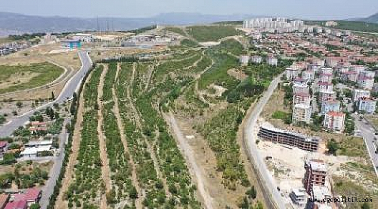 Ödüllü proje Portakal Vadisi’nde çalışmalar başladı