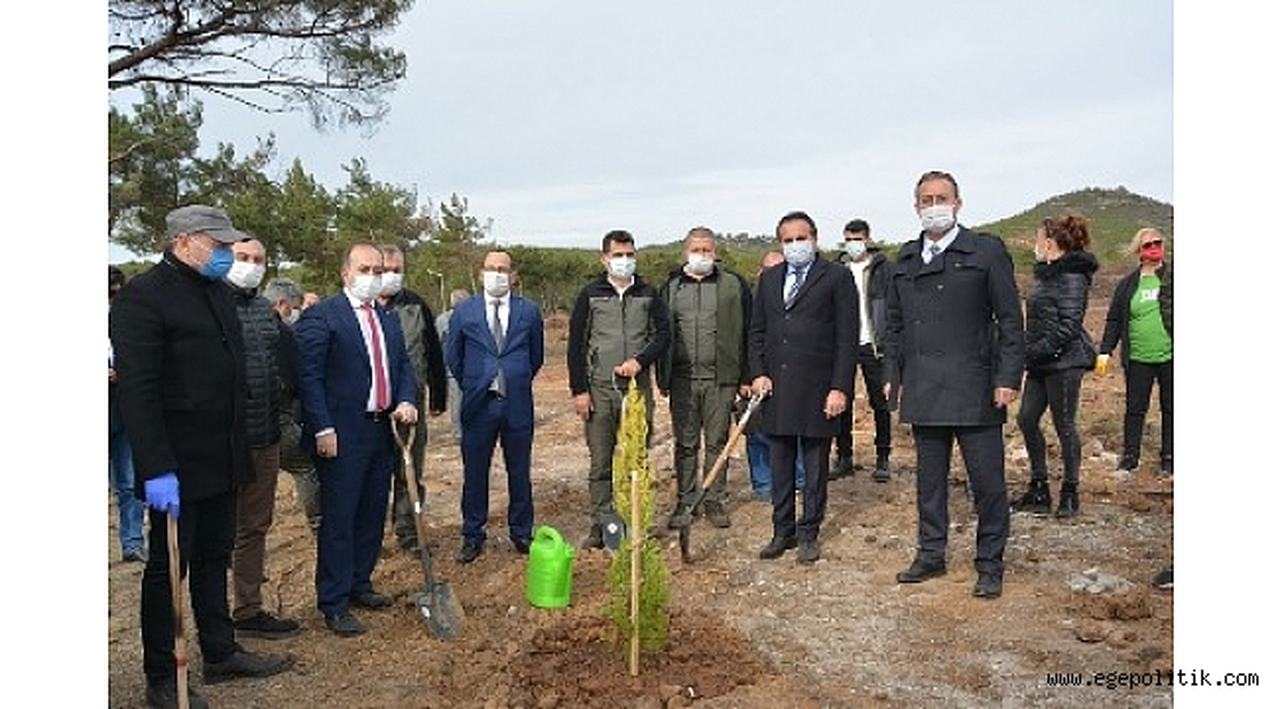 Ayvalık' ta yanan alanlar kaderine terk edilmedi