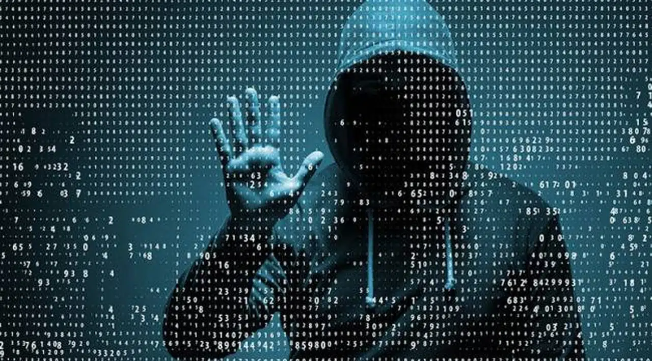 AİHM'ye siber saldırı