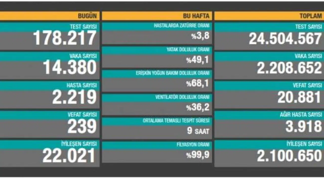 Bakanlık açıklaması: 14 bin 380 yeni vaka, 239 ölüm