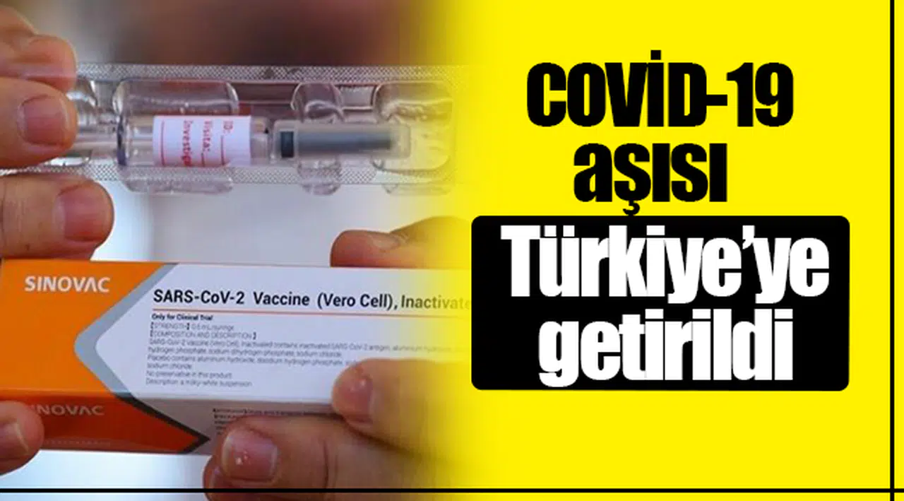 Covid-19 aşısı Türkiye'ye geldi