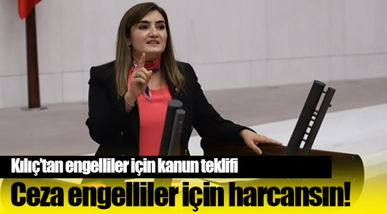 Kılıç'tan engelliler için kanun teklifi!
