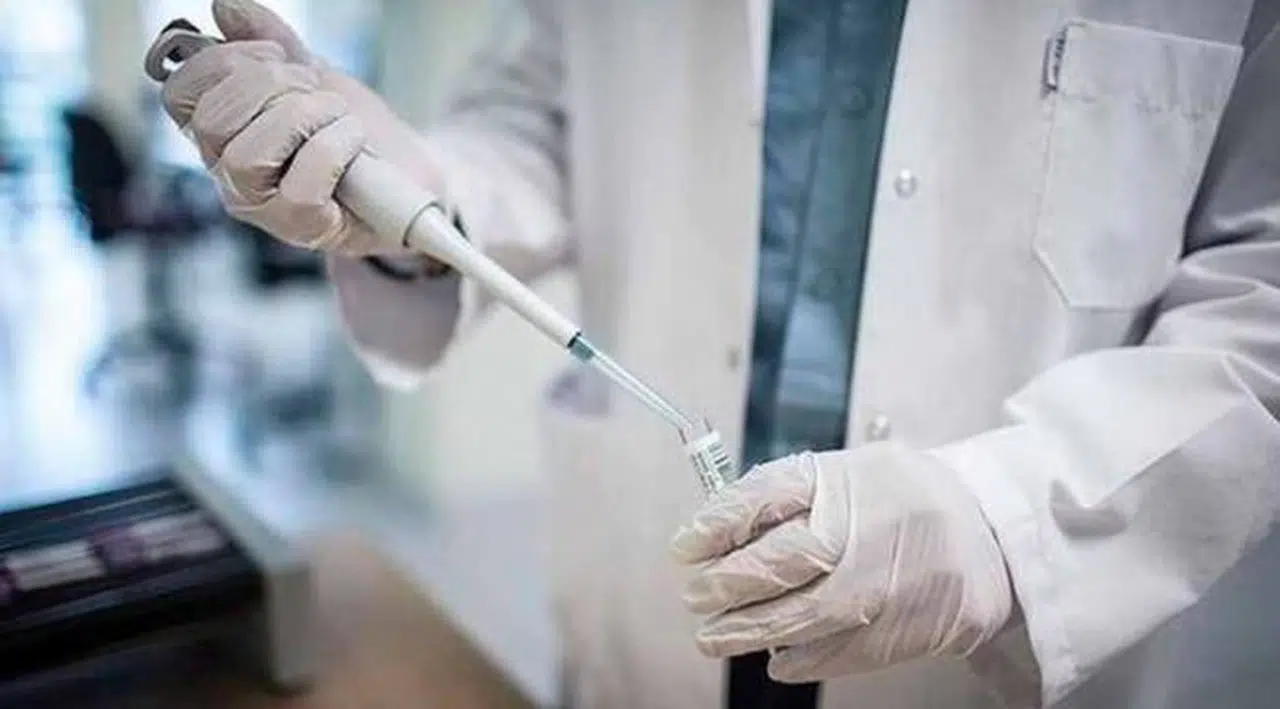 Bakandan yerli aşı açıklaması: Son viraja girdik