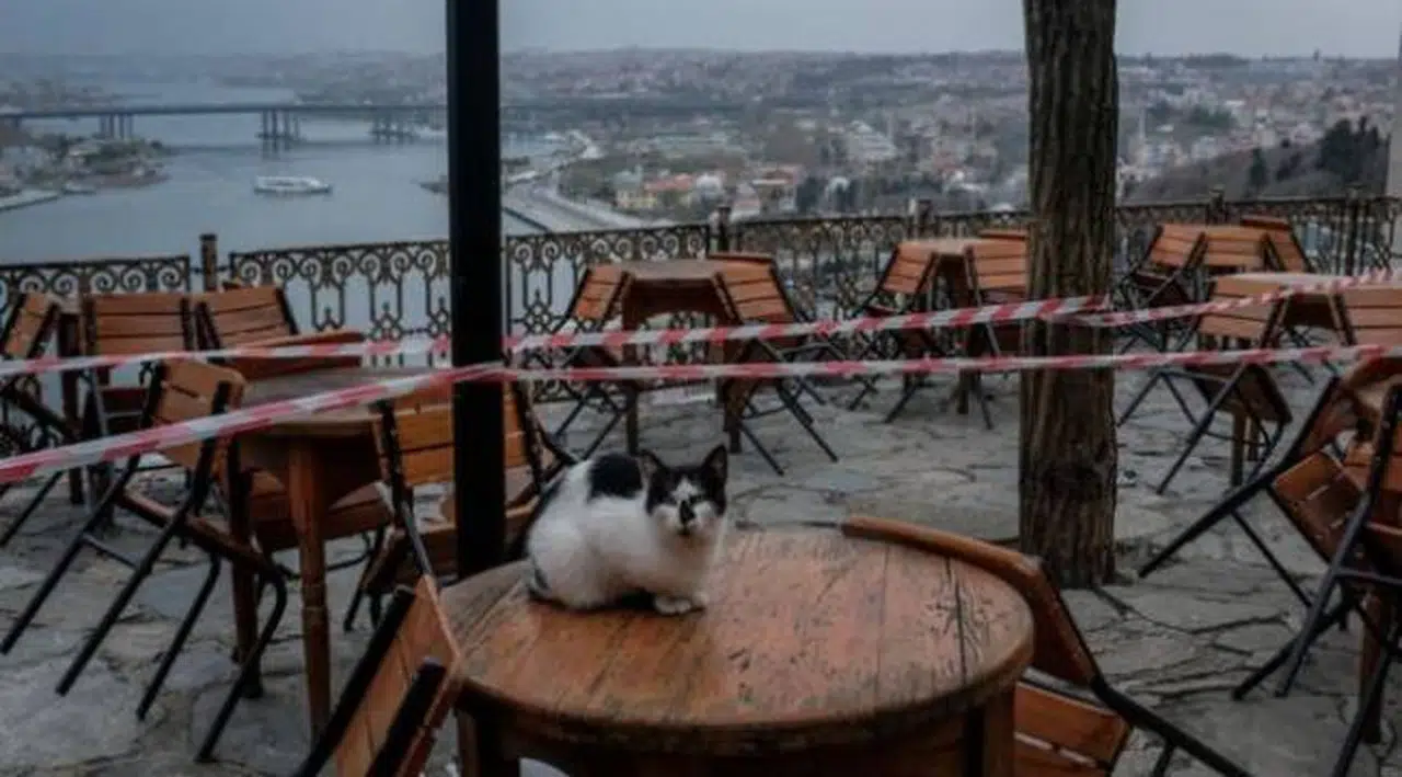 Bilim Kurulu üyeleri normalleşme şartlarını açıkladı