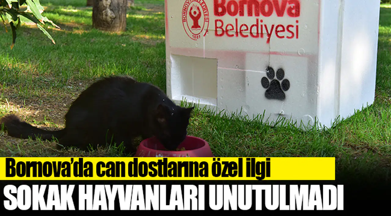 Bornova’da can dostlarına özel ilgi