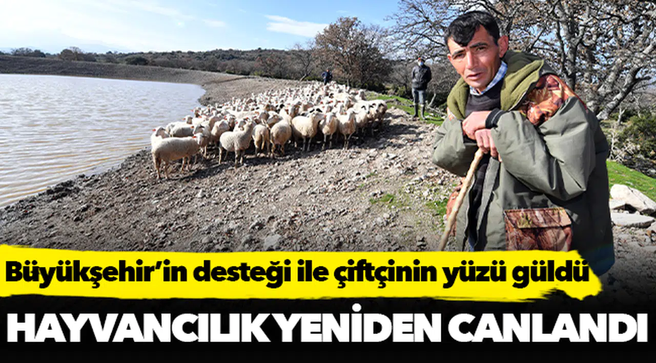 Büyükşehir’in desteği ile çiftçinin yüzü güldü