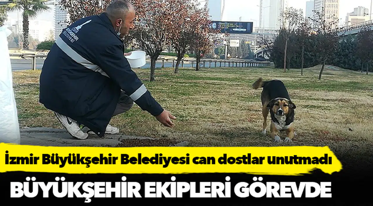 Can dostlar unutulmadı