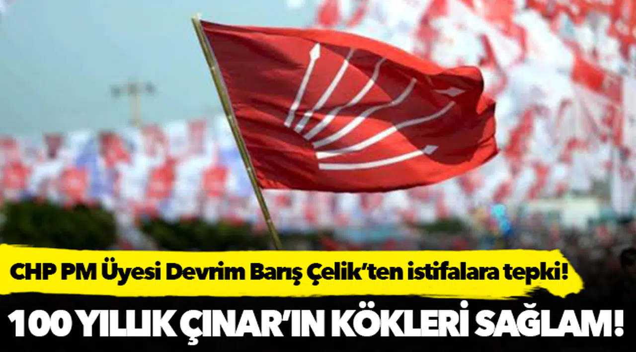 CHP PM Üyesi Çelik'ten, istifa eden milletvekillerine  "CHP 100 yıllık Çınar’ın kökleri sağlam, dalları canlıdır"