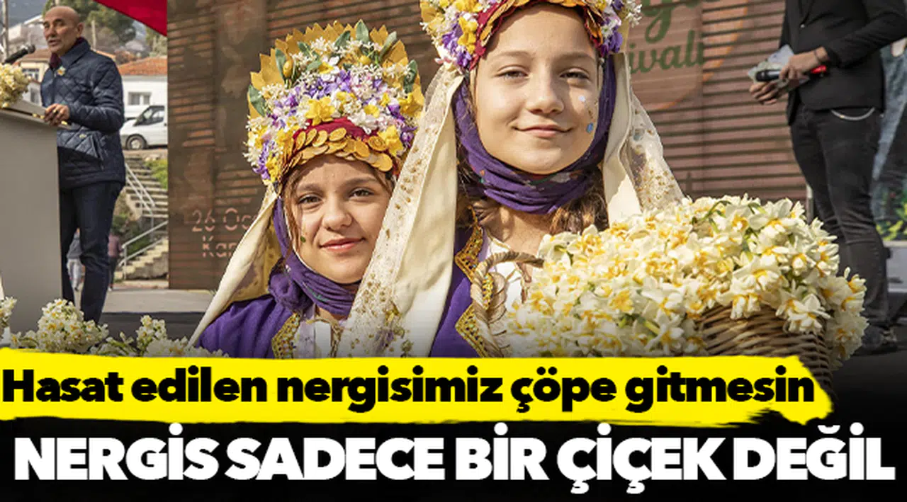 Hasat edilen nergisimiz çöpe gitmesin, evlerimiz mis koksun