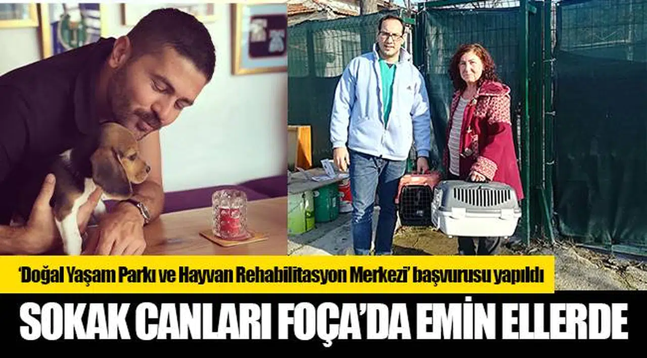 SOKAK CANLARI FOÇA’DA EMİN ELLERDE