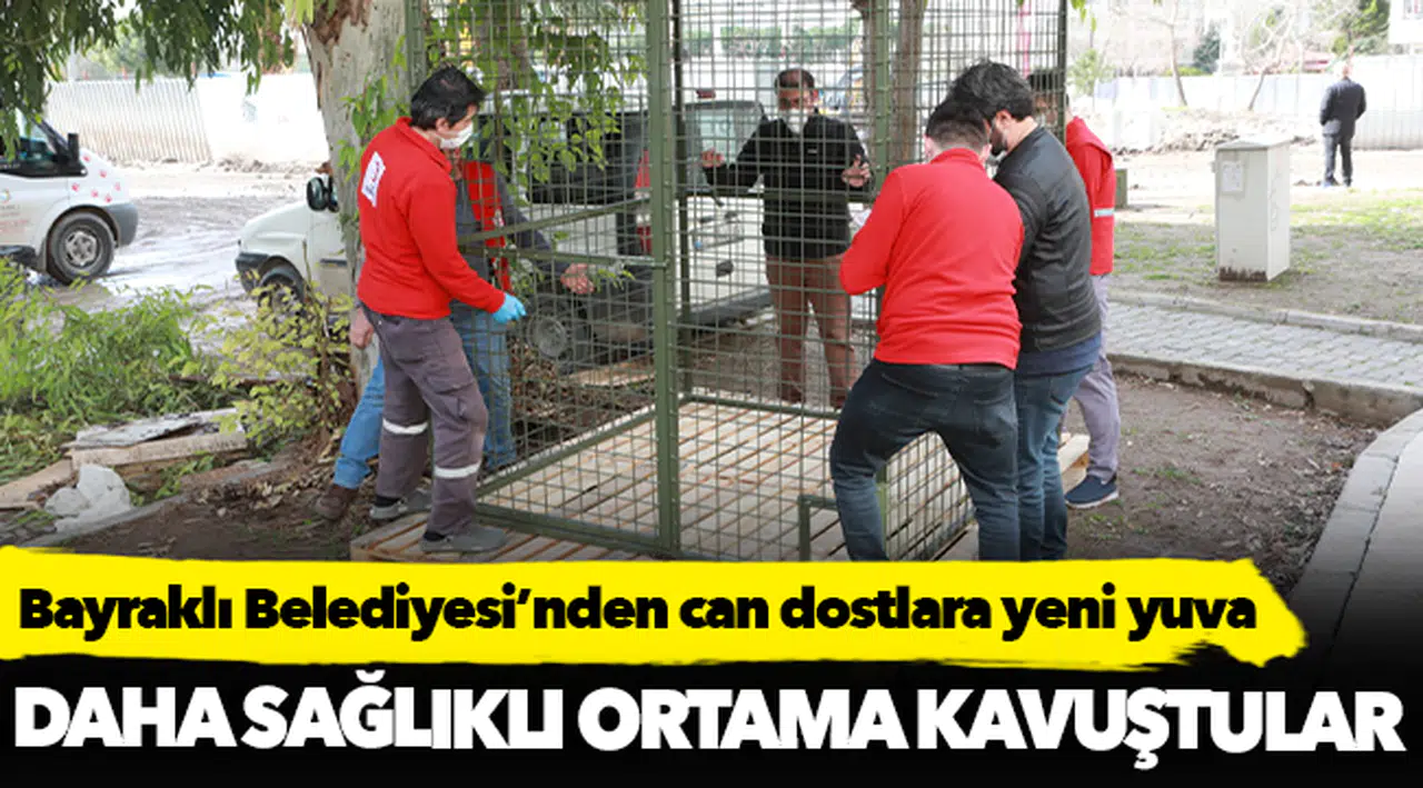 Bayraklı Belediyesi’nden can dostlara yeni yuva