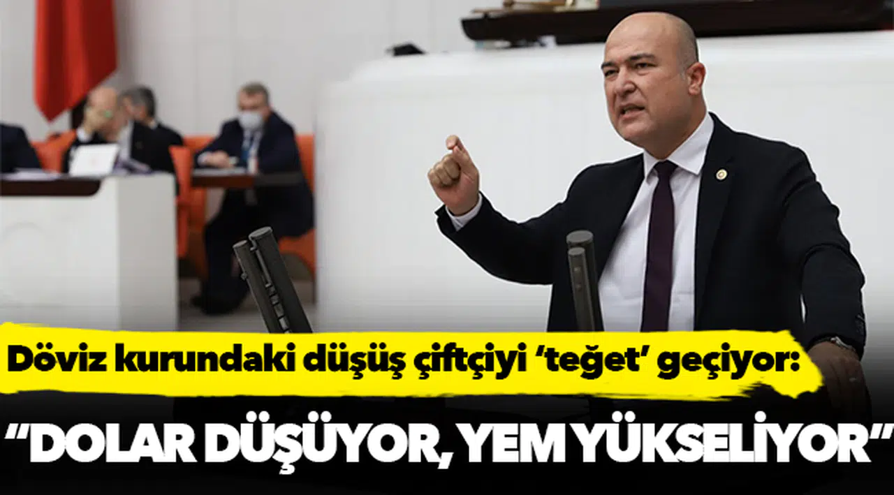 ‘Dolar düşüyor yem fiyatları düşmüyor’