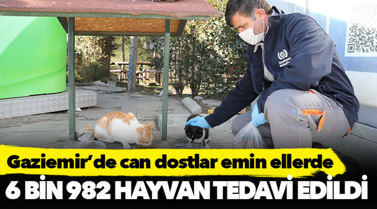 Gaziemir’de can dostlar emin ellerde
