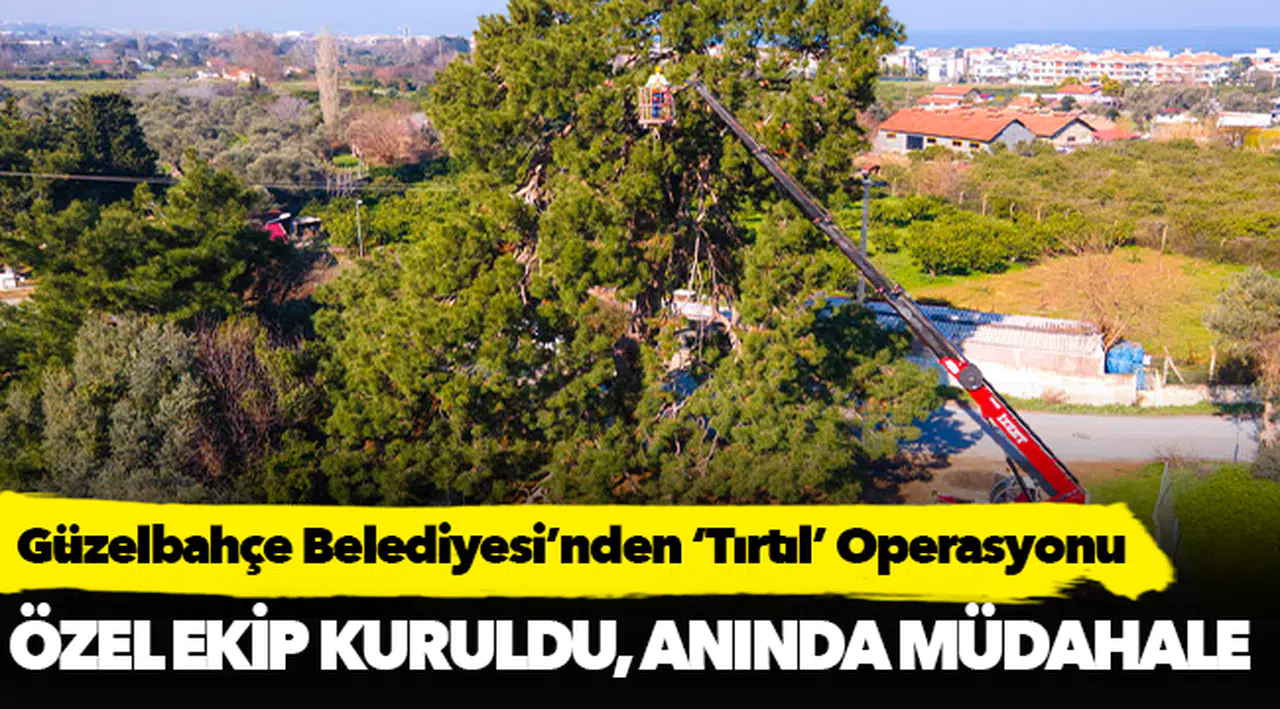 Güzelbahçe Belediyesi’nden ‘Tırtıl’ Operasyonu