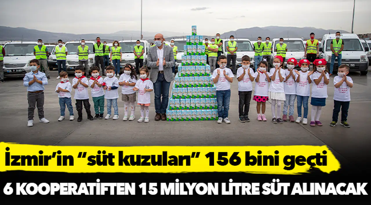 İzmir’in “süt kuzuları” 156 bini geçti