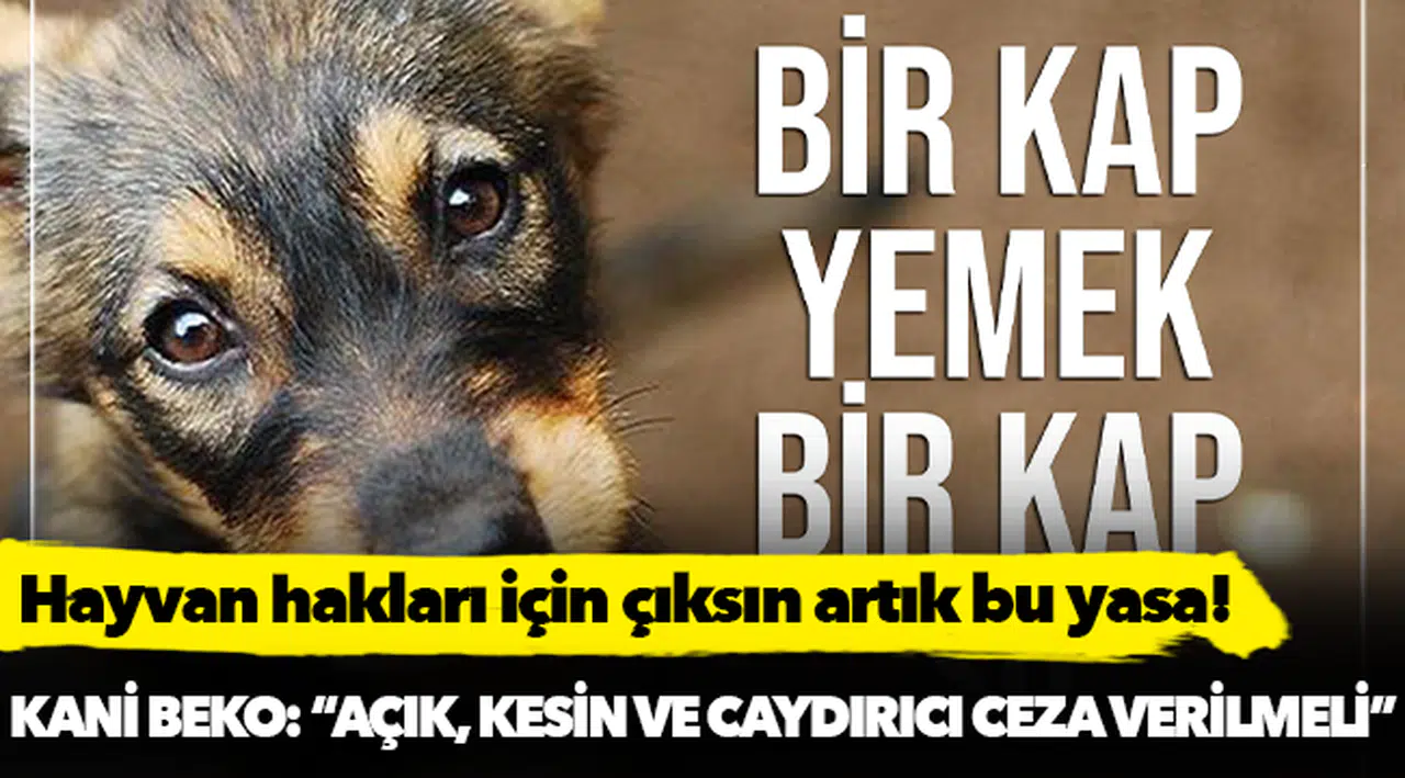 Kani Beko: Hayvan hakları için çıksın artık bu yasa!