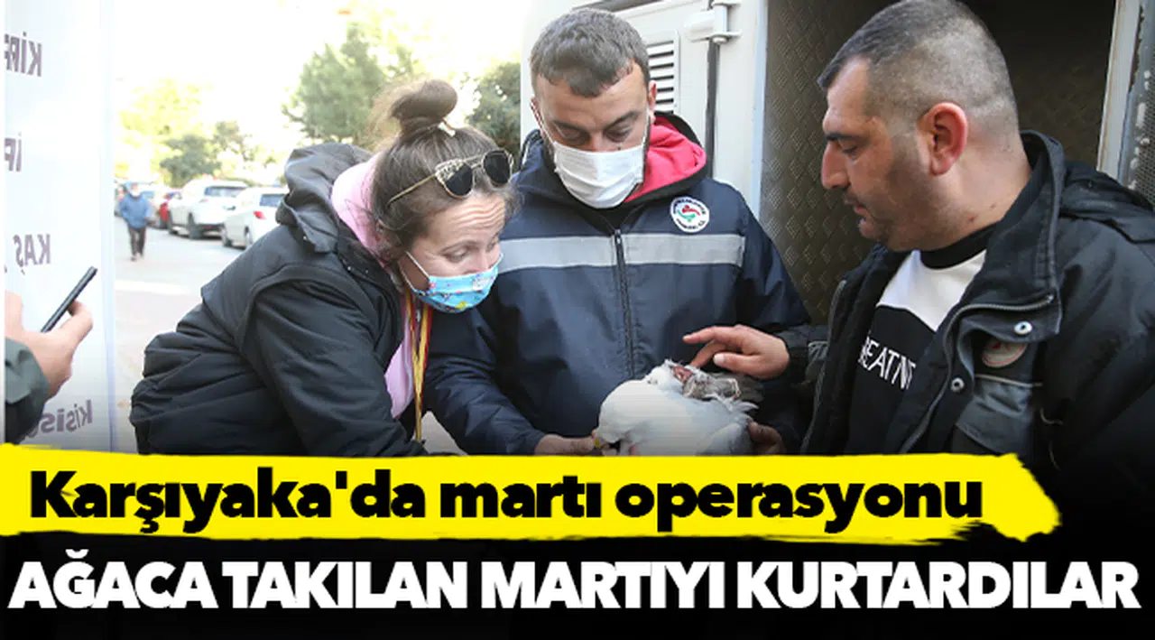 Karşıyaka'da martı operasyonu