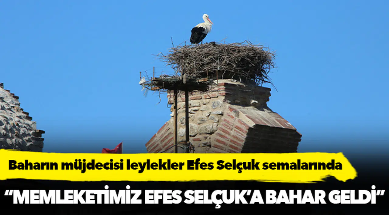 Baharın müjdecisi leylekler Efes Selçuk semalarında