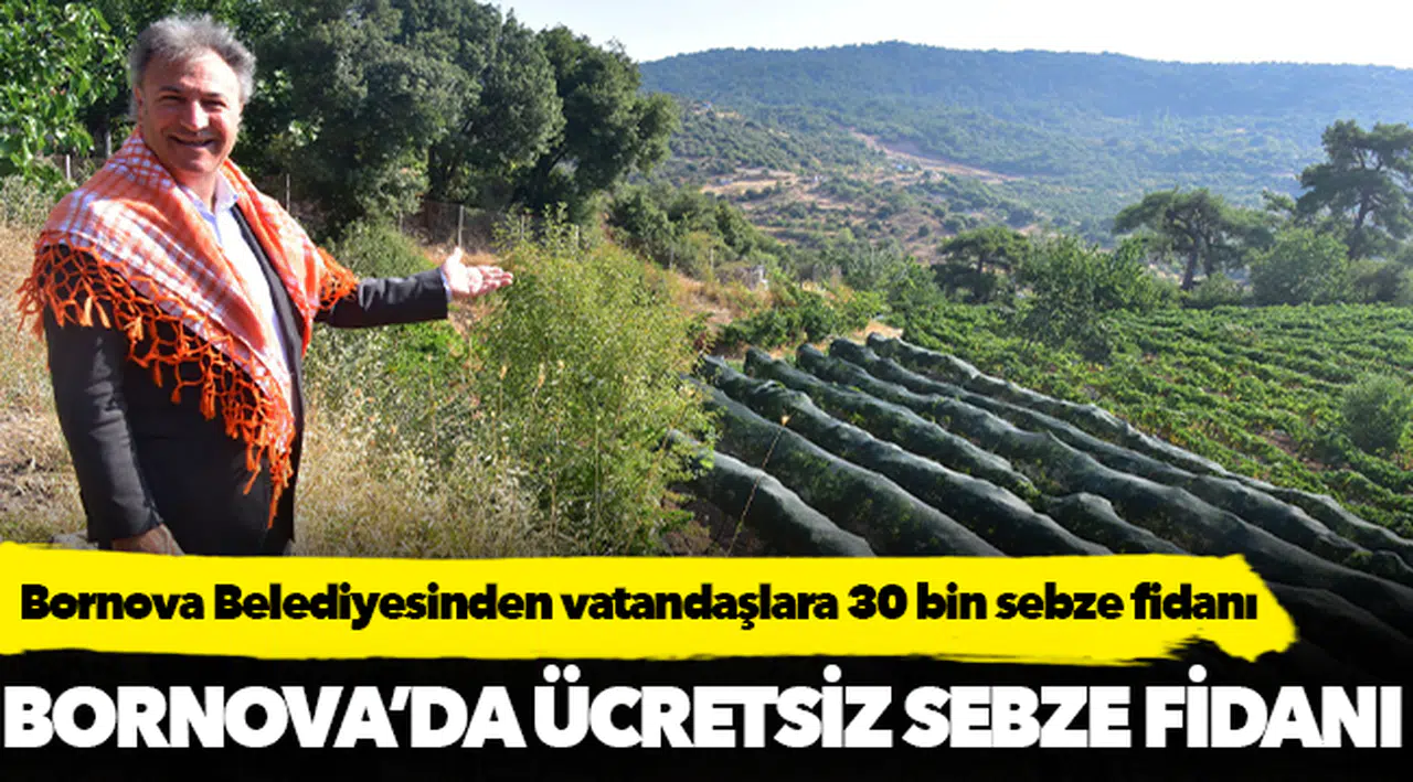 Bornova Belediyesinden vatandaşlara 30 bin sebze fidanı