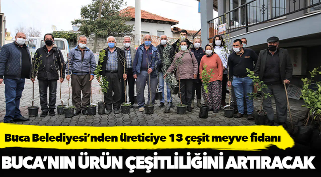 Buca Belediyesi’nden üreticiye 13 çeşit meyve fidanı