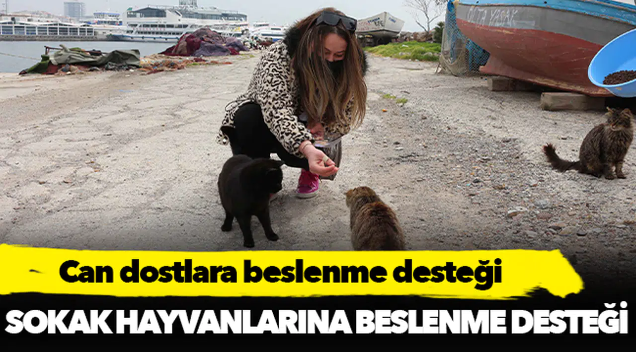 Can dostlara beslenme desteği