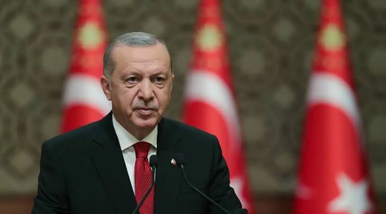 Cumhurbaşkanı Erdoğan, "Plan 11 temel ilke, 9 amaç, 50 hedef ve 393 faaliyet içeriyor."