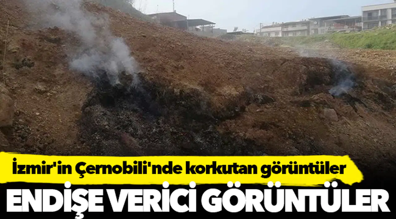 İzmir'in Çernobili'nde korkutan görüntüler