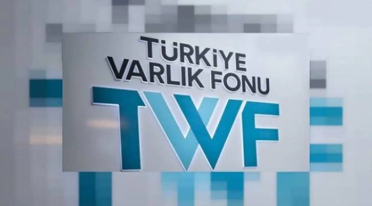 Varlık Fonu Genel Müdürü Ermut oldu