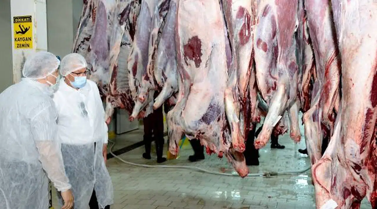 Başkan Eriş’ten Ödemiş Mezbahası’nda inceleme   “Ayda ortalama 1700 büyükbaş hayvan kesimi yapılıyor”