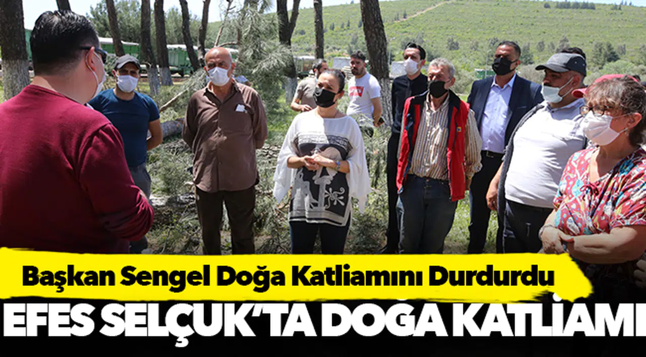 Başkan Sengel Doğa Katliamını Durdurdu