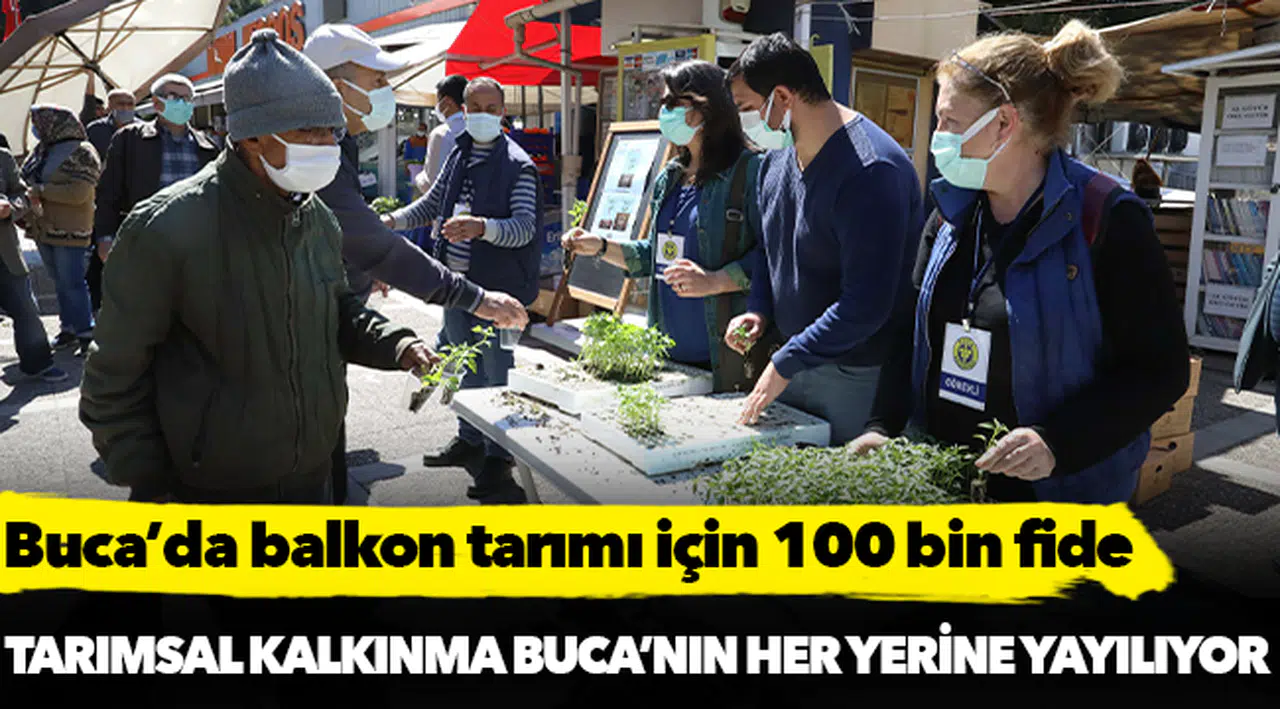 Buca’da balkon tarımı için 100 bin fide