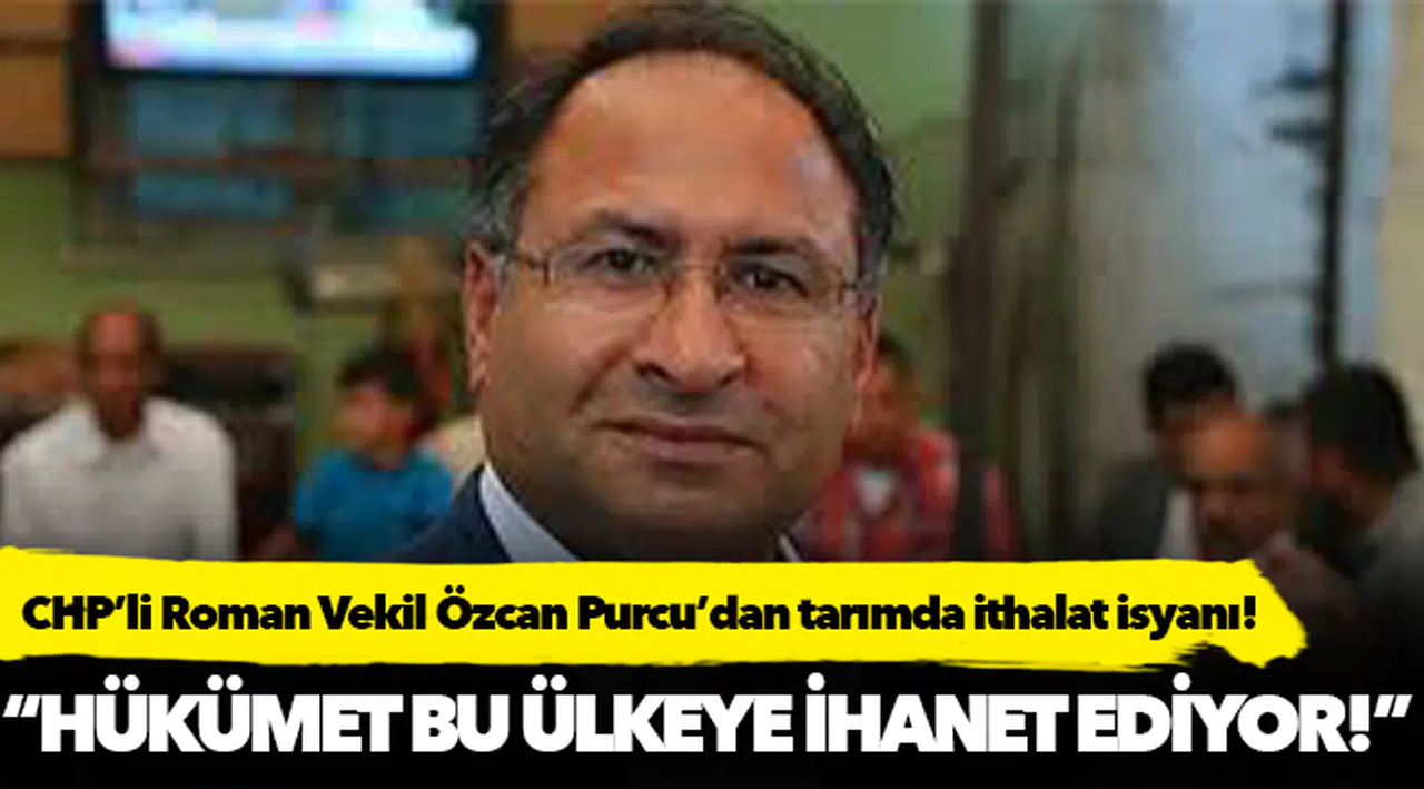 CHP’li Roman Vekil Özcan Purcu’dan tarımda ithalat isyanı!