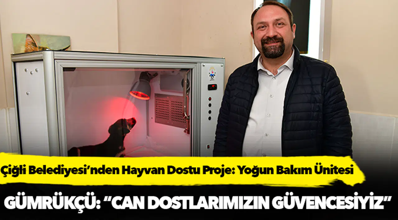 Çiğli Belediyesi’nden Hayvan Dostu Proje: Yoğun Bakım Ünitesi