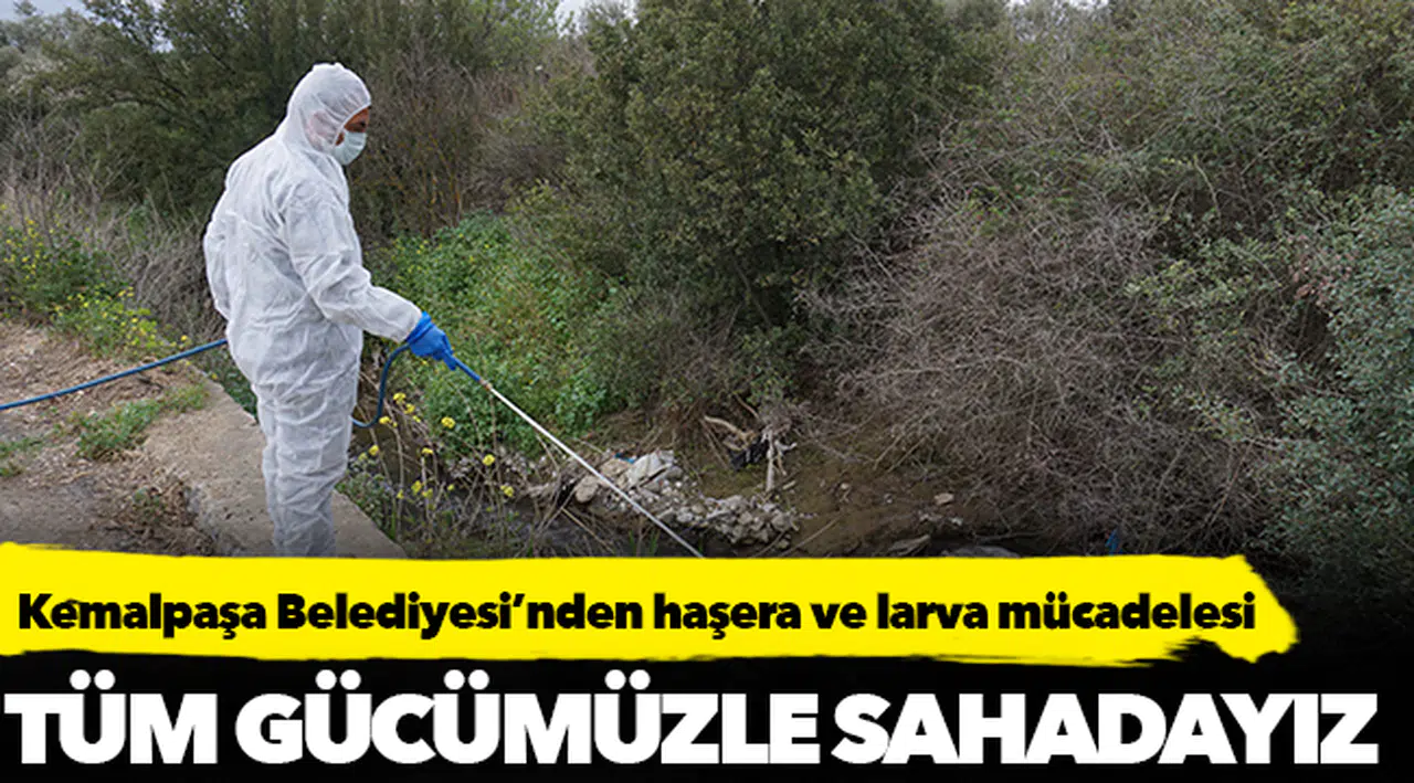 Kemalpaşa Belediyesi’nden haşera ve larva mücadelesi