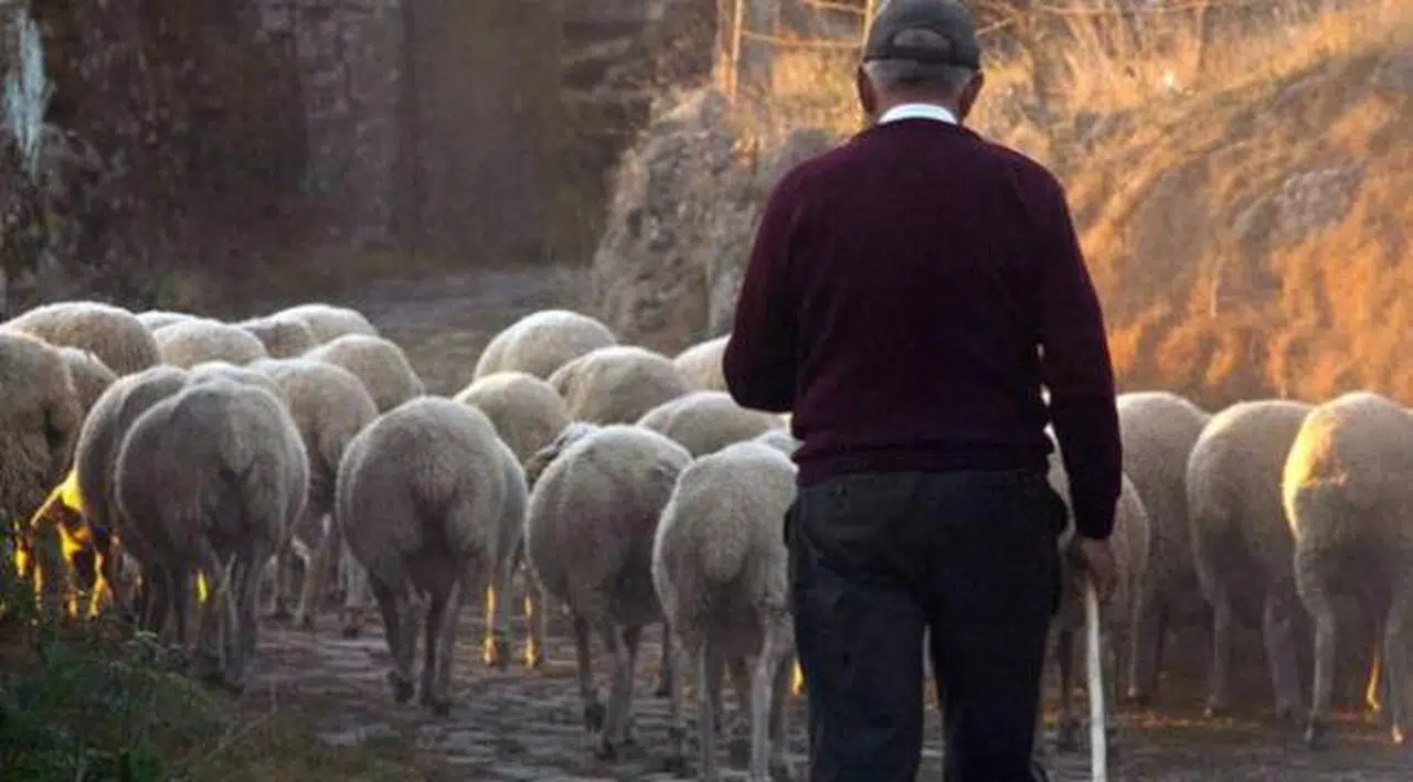 Şehirden köye dönenlere büyük teşvik geliyor! Vergiden bile muaf olacaklar