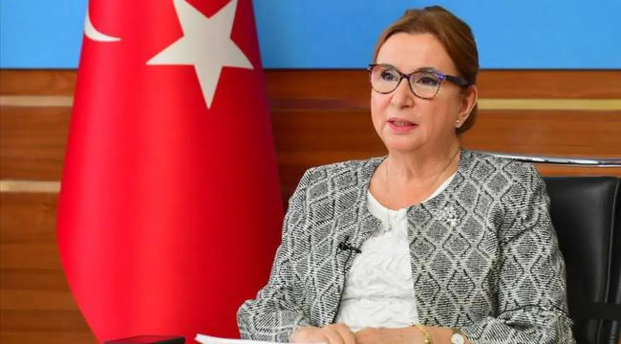 Şirketinden bakanlığa dezenfektan satmıştı: İşte Ruhsar Pekcan'ın bakan olmasaydı alacağı ceza…