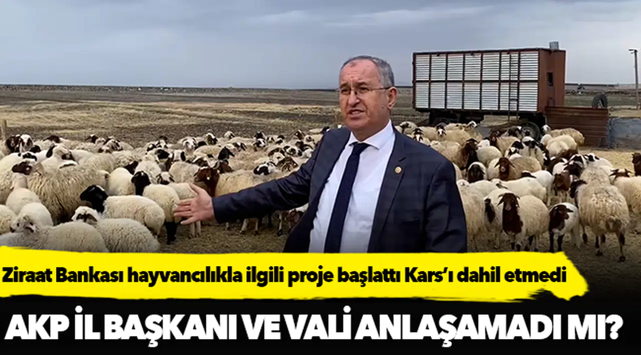 Ziraat Bankası hayvancılıkla ilgili proje başlattı Kars’ı dahil etmedi