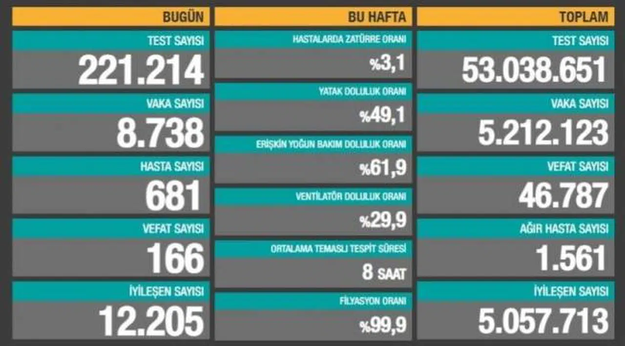 Bakanlık açıklaması: 166 ölüm, 8 bin 738 yeni vaka