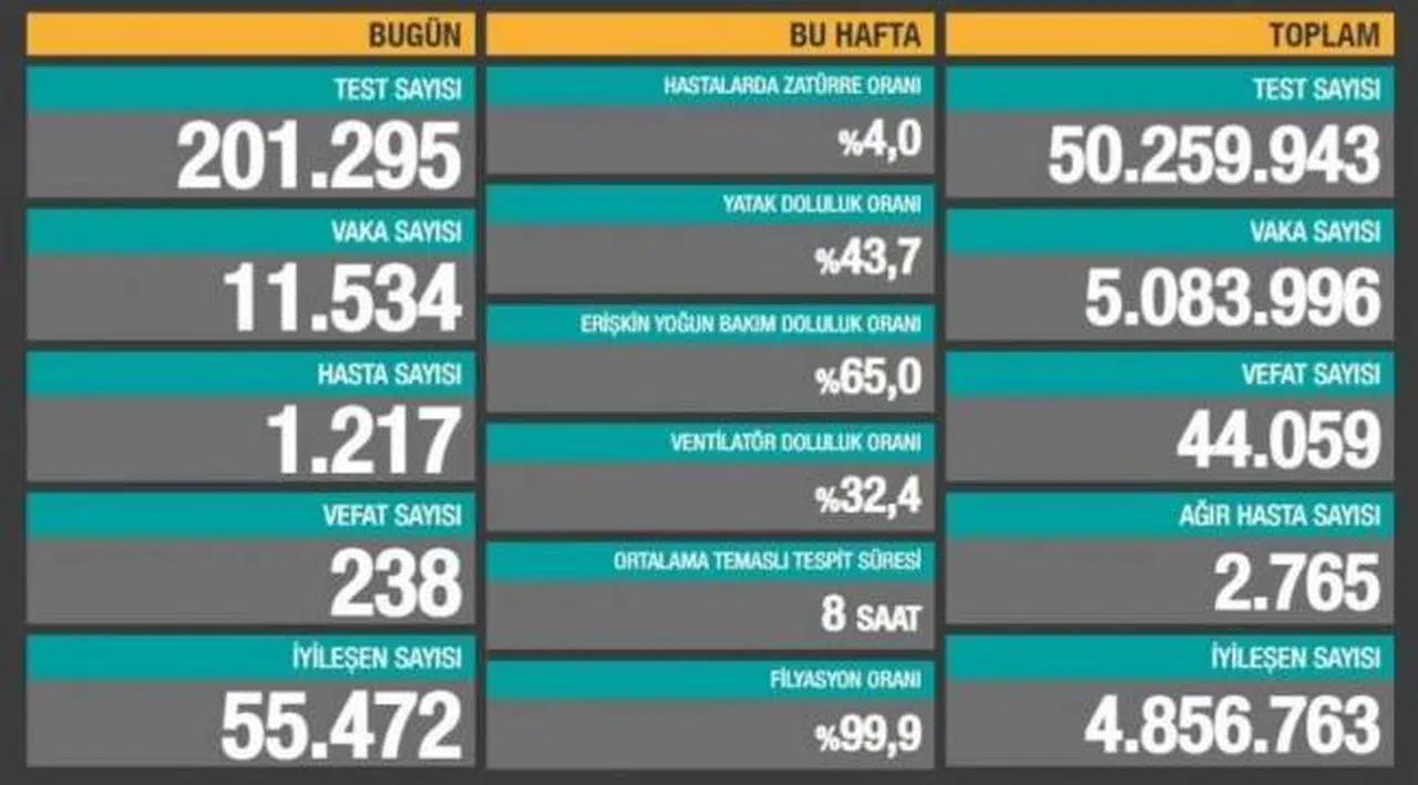 Bakanlık açıklaması: 238 ölüm, 11 bin 534 yeni vaka