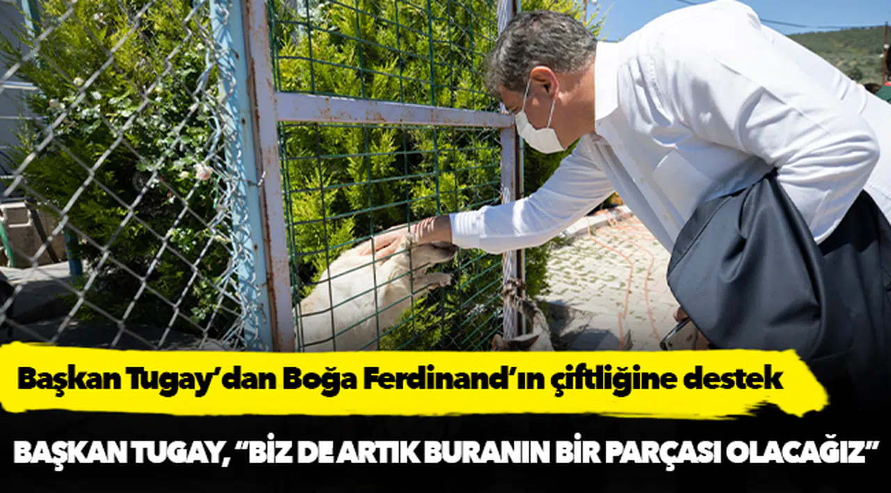 Başkan Tugay’dan Boğa Ferdinand’ın çiftliğine destek