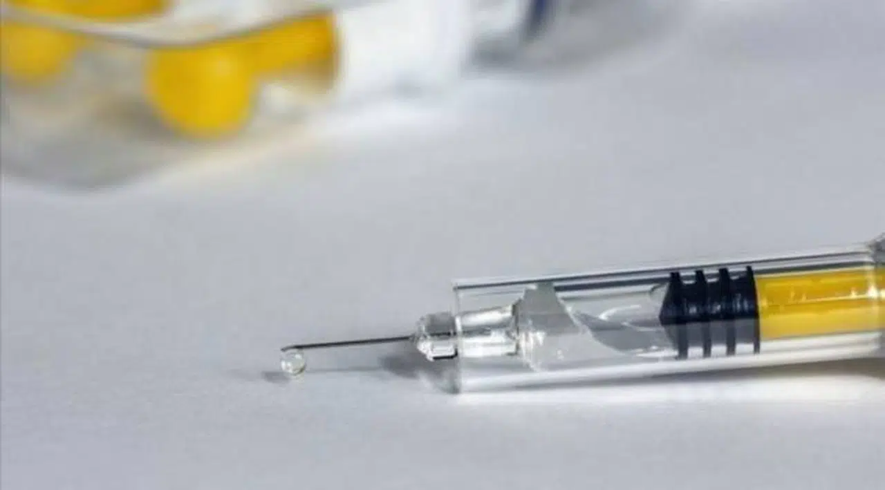 BioNTech aşısının yeni partisi Türkiye'ye geldi
