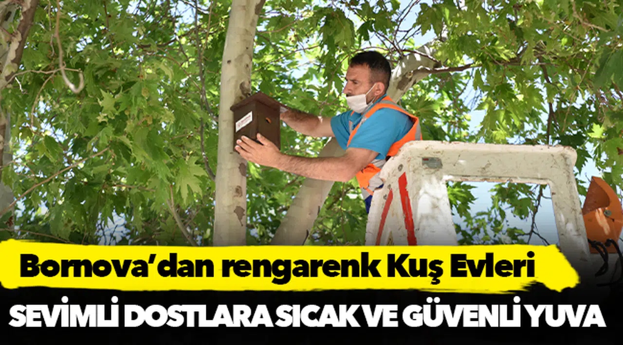 Bornova’dan rengarenk Kuş Evleri