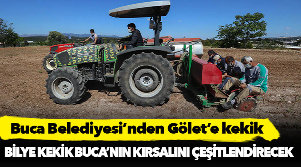 Buca Belediyesi’nden Gölet’e kekik