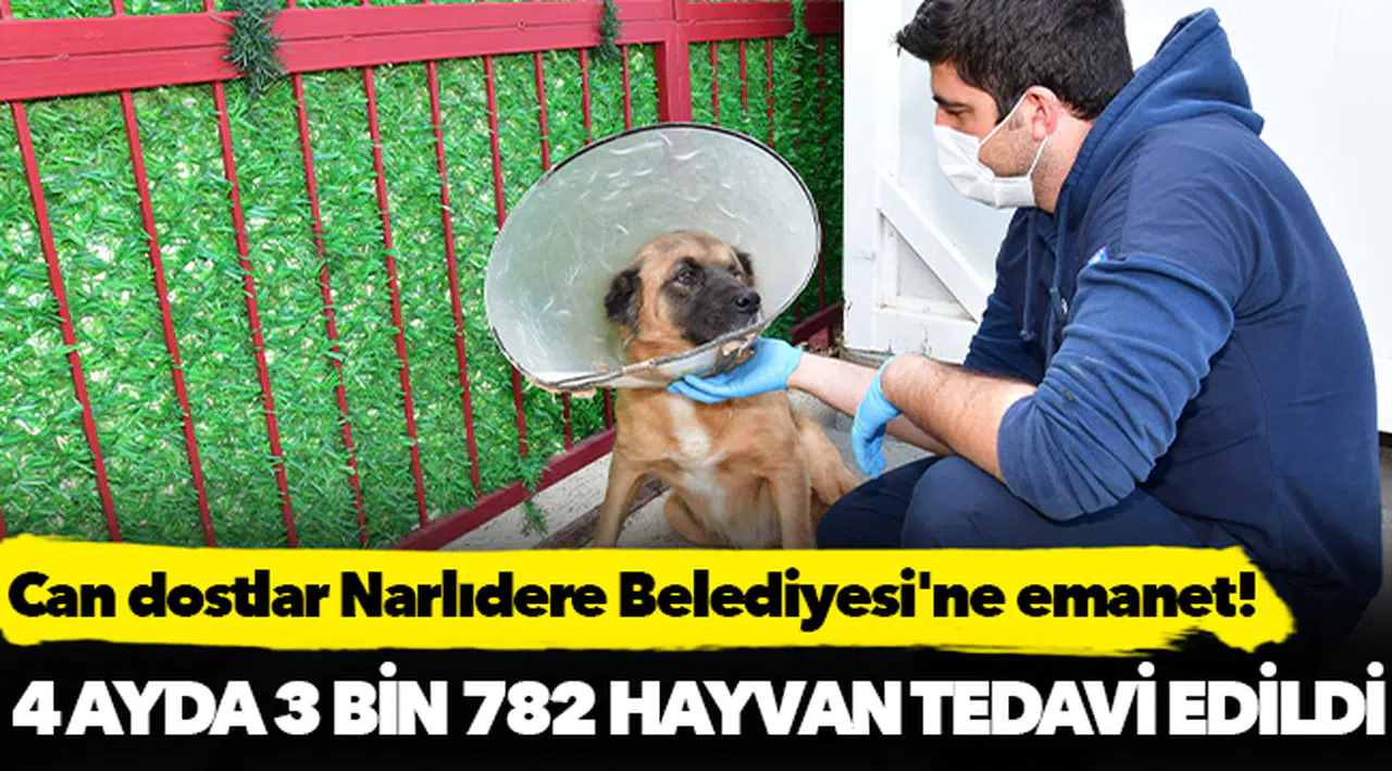 Can dostlar Narlıdere Belediyesi'ne emanet!