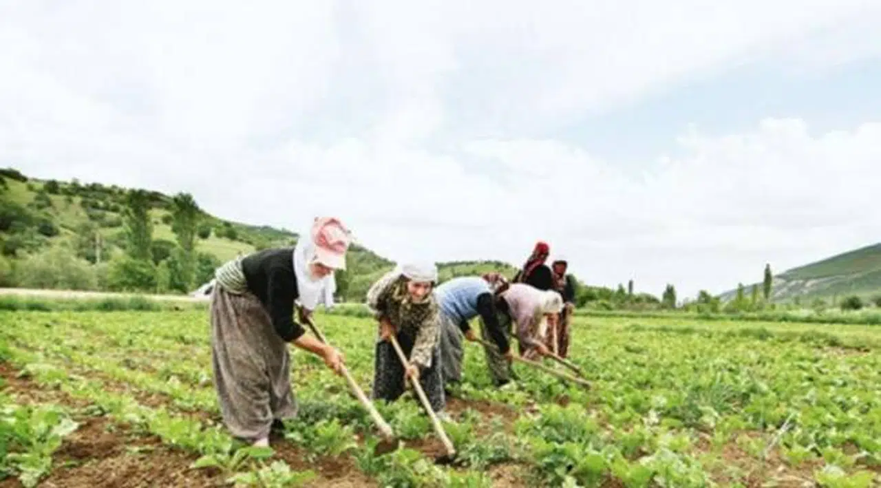İçişleri Bakanlığı'ndan 'sıkça sorulan sorulara' yanıt