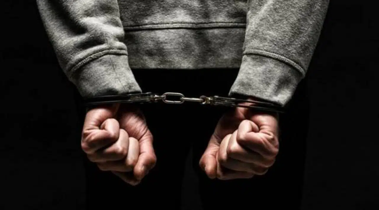 İnterpol, Cihan Saral’ı Türkiye’ye iade etti